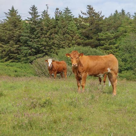 Dooneen Skibbereen Dış mekan fotoğraf