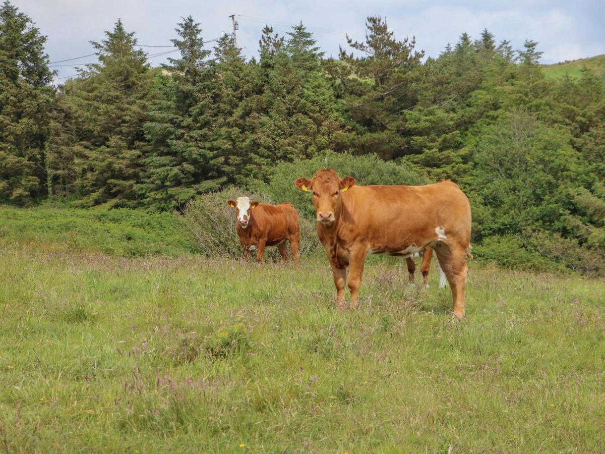 Dooneen Skibbereen Dış mekan fotoğraf
